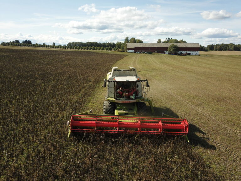 CLAAS LEXION 750 MONTANA