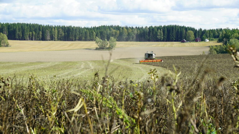 CLAAS LEXION 750 MONTANA