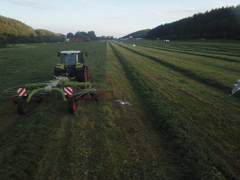 Det 110 dekar store skiftet har  helt opptil 800 meter lange drag.