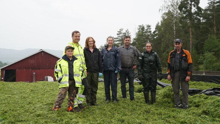 Ole, Rune, Marit, Maren Andrine, Ole Martin, Eline og Erling var fornøyd når siste lasset var lagt i siloen. Et par timer etter var siloen ferdig pakket.