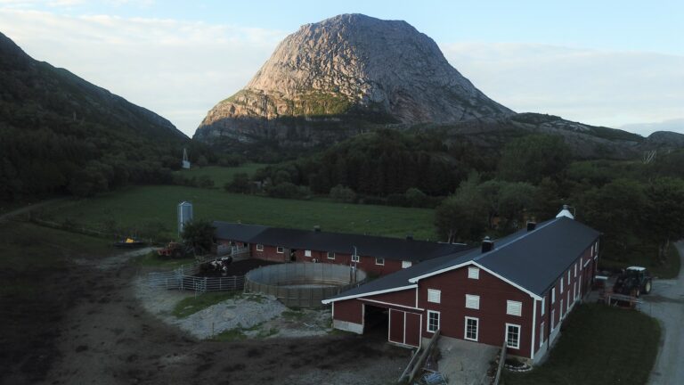 Gården Hestmongården ligger på sørsiden av den karakteristiske øya, nord på Helgelandskysten.