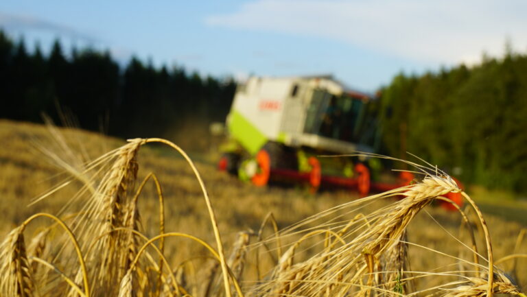 Mercurioo høstbygg foran CLAAS LEXION 410.