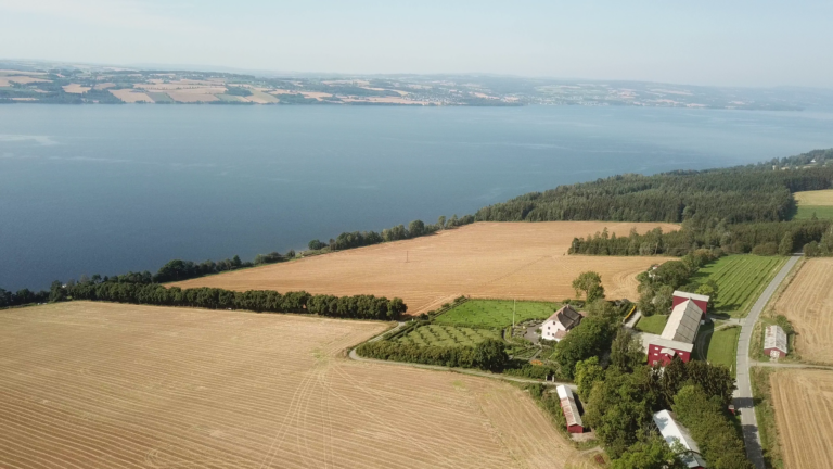 vlcsnap-2019-09-08-14h10m06s162