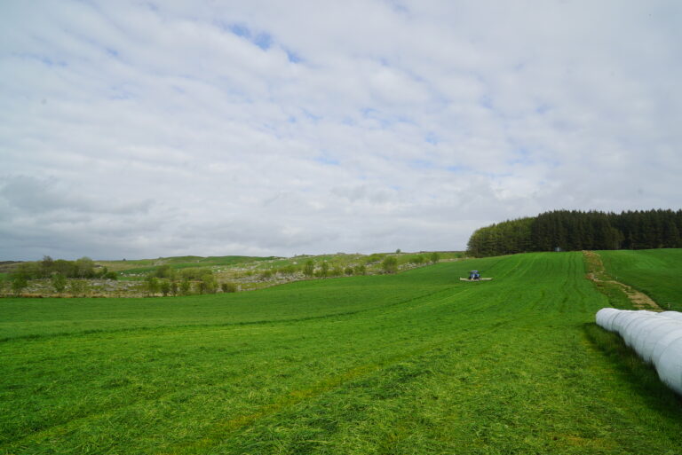 DSC02360