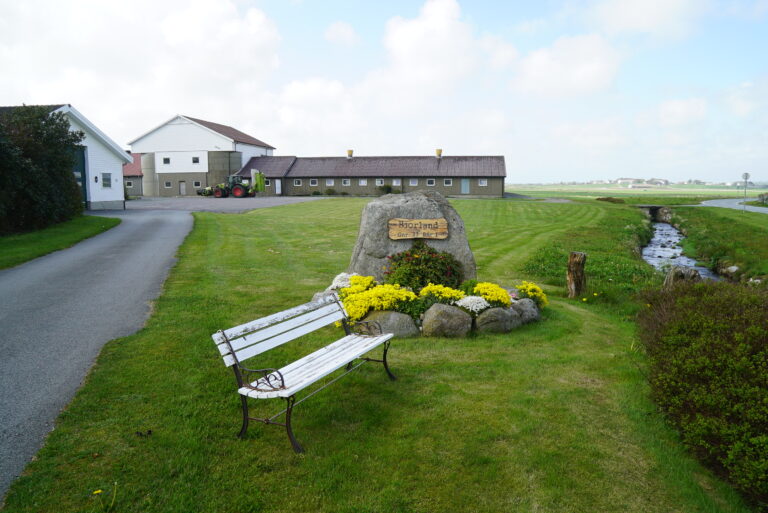 DSC02443