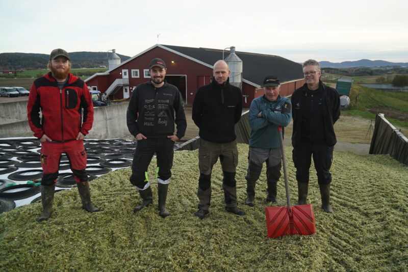 Breddfull maissilo for Skoger Samdrift