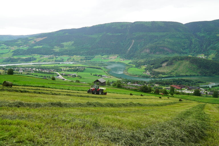 DSC08806