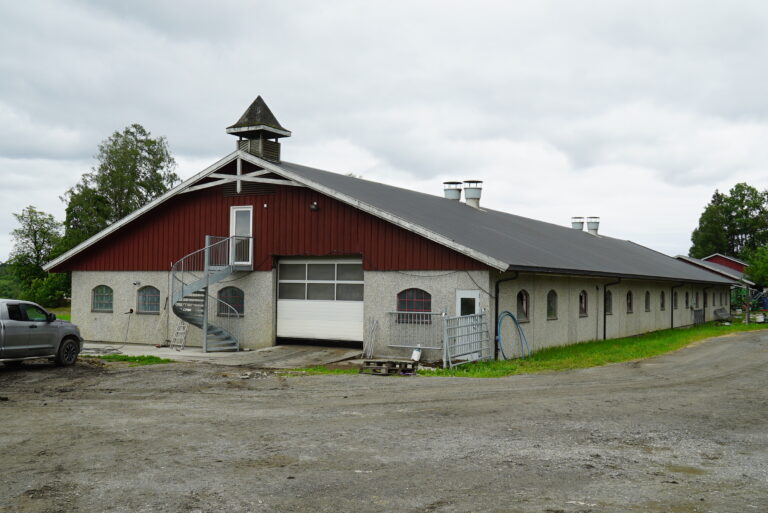 DSC09382