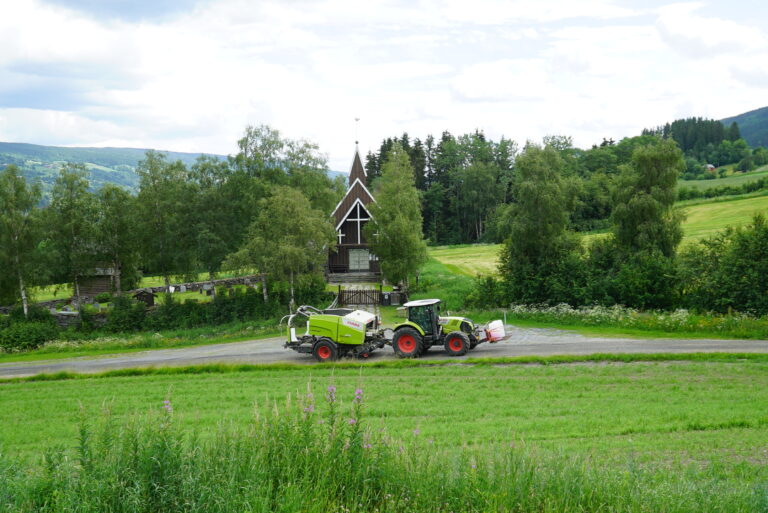 DSC09554