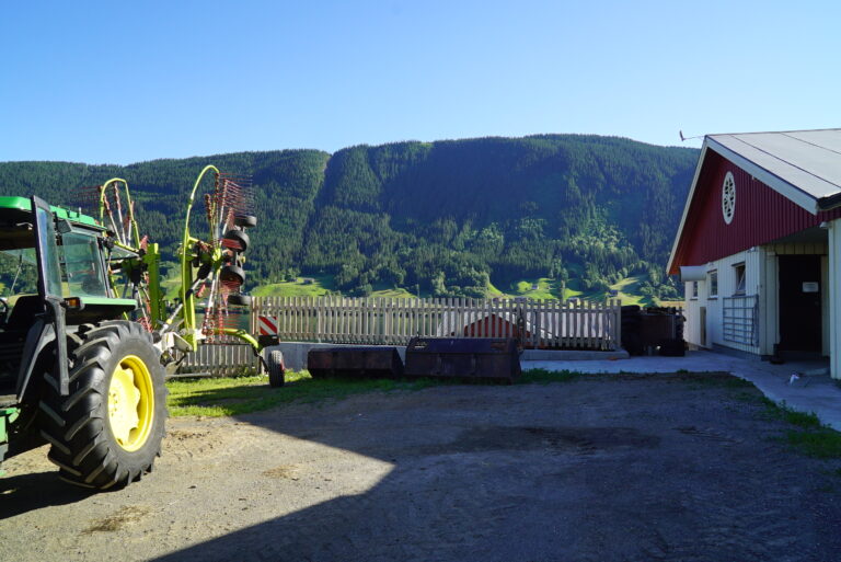 DSC09769