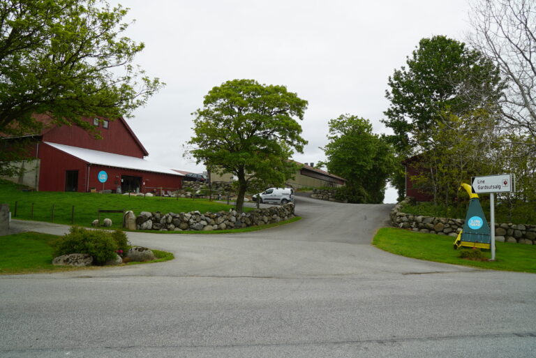 DSC06979