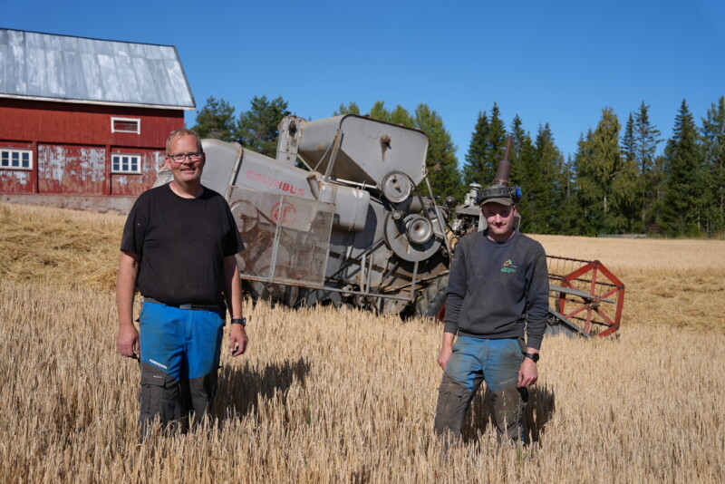 Torfinn og Eskil tresker med CLAAS COLUMBUS fra 1963